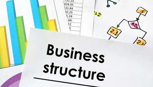 Corporate Structure